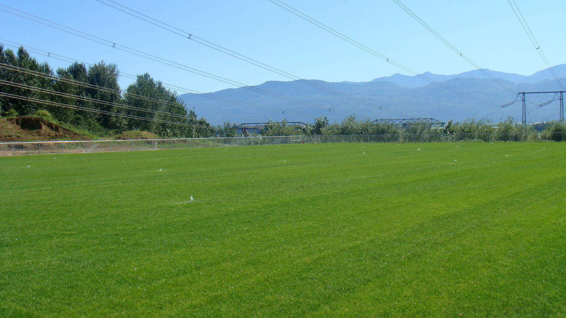 Abby Fine Arts Field