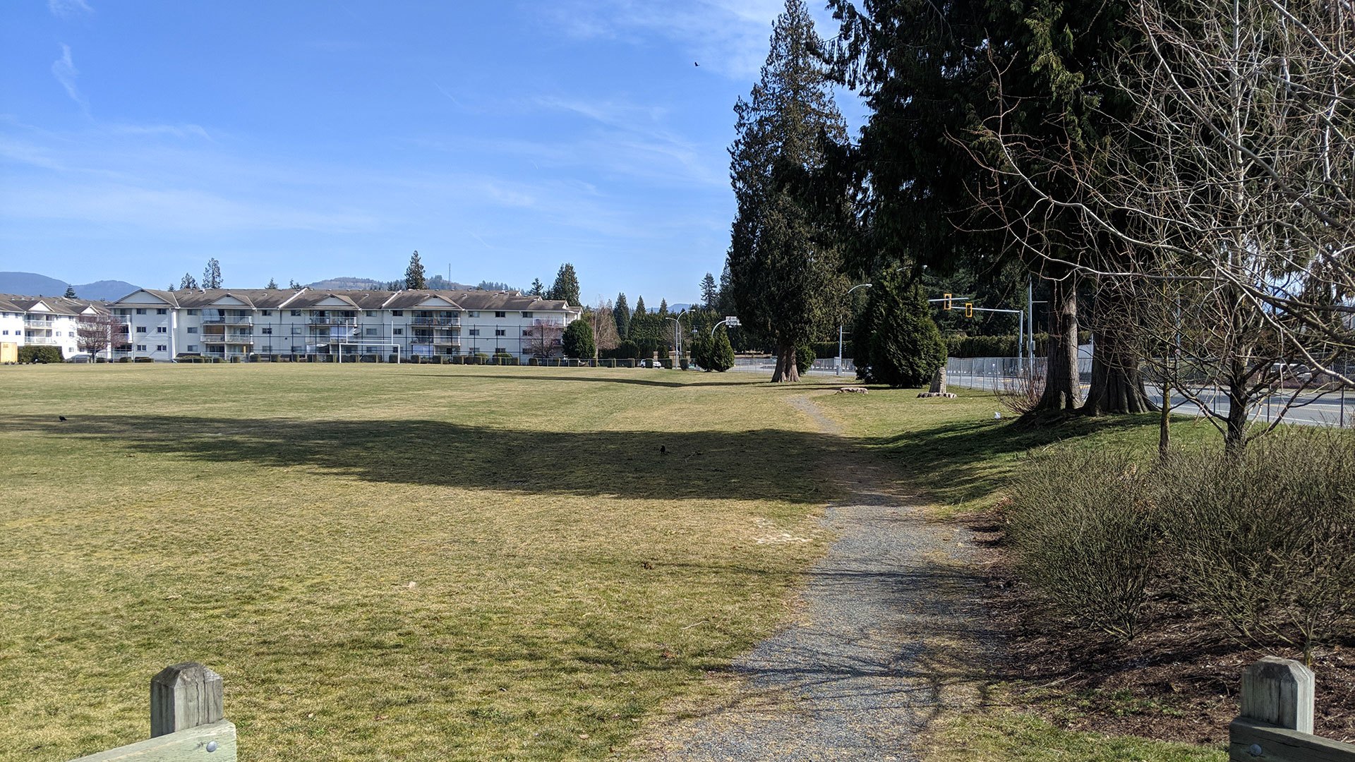 Abby Collegiate Sports Field