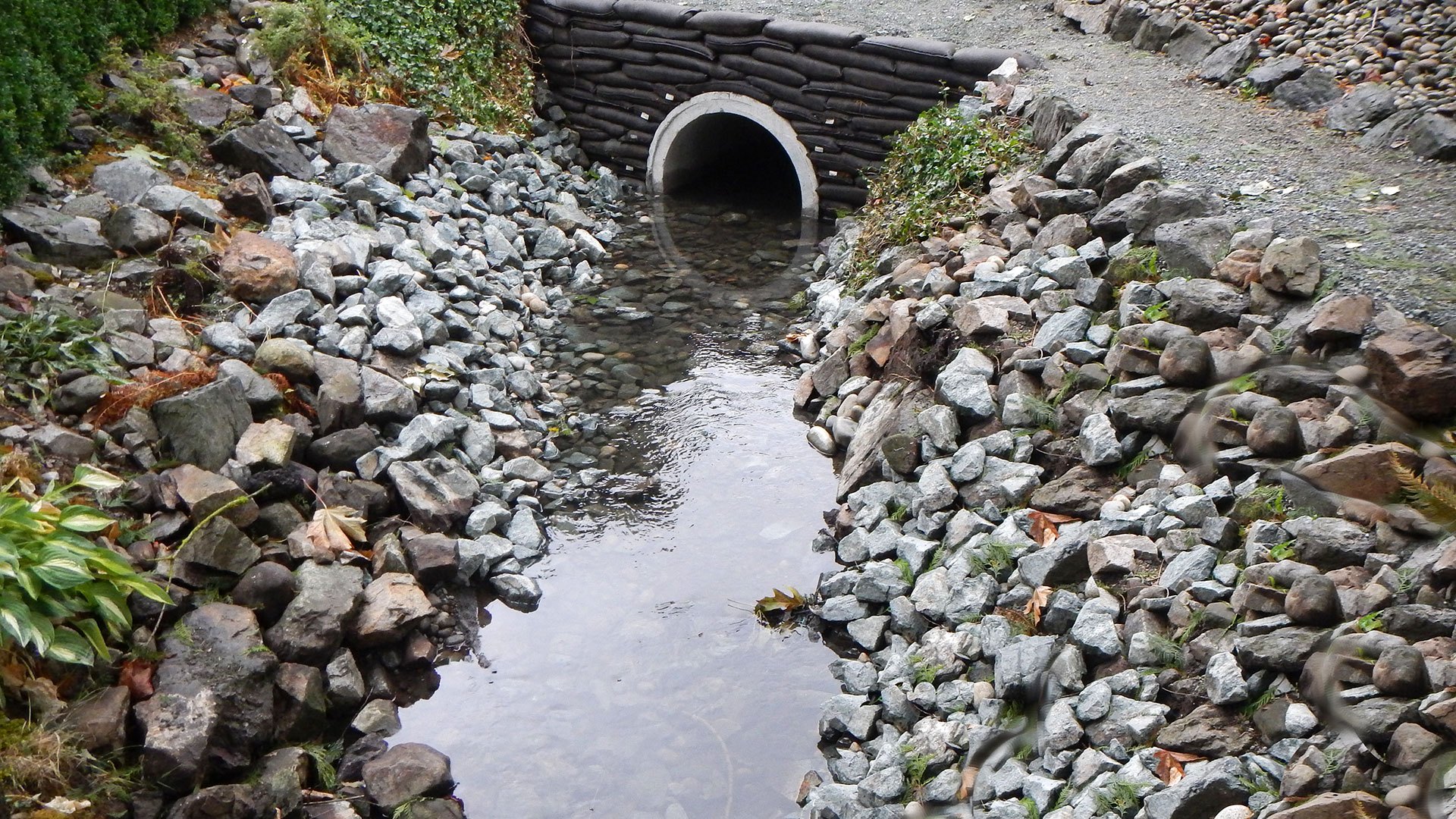 Gill Creek Culvert